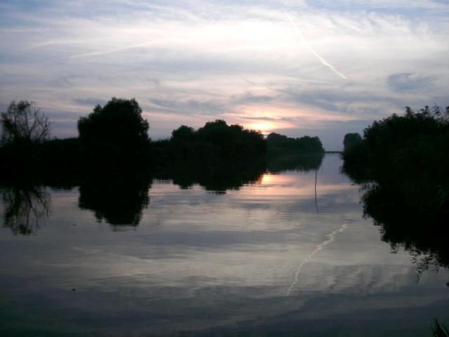 delta rosu 2012 - 267219.jpg